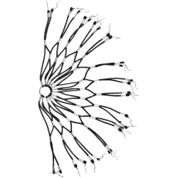 Frakkeskner, spiral/ net