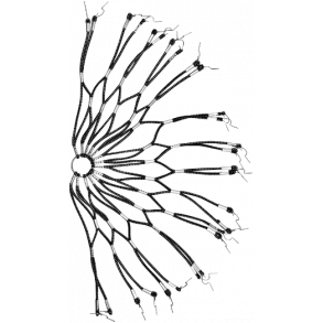 Frakkeskner, spiral/ net